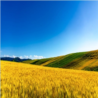 农业联合体运行管理